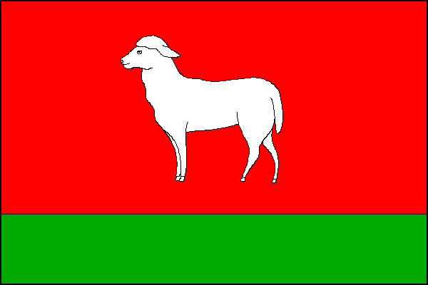 city flag