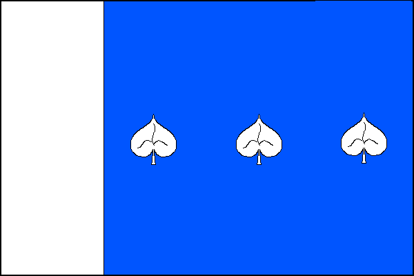 city flag