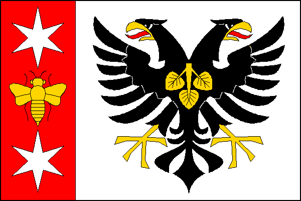 city flag