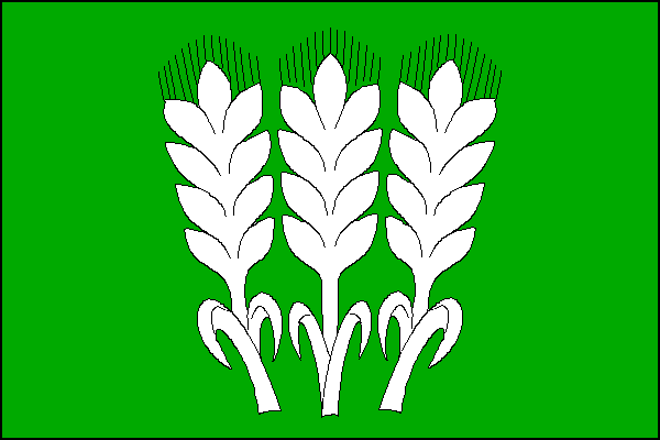 city flag