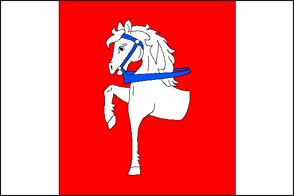 city flag