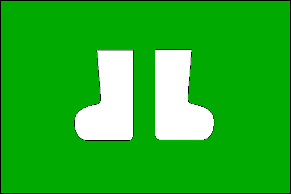 city flag