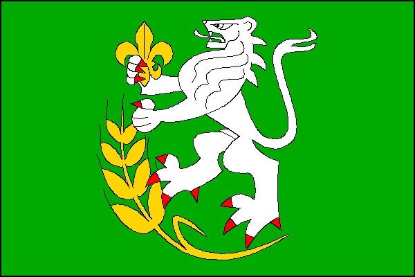 city flag