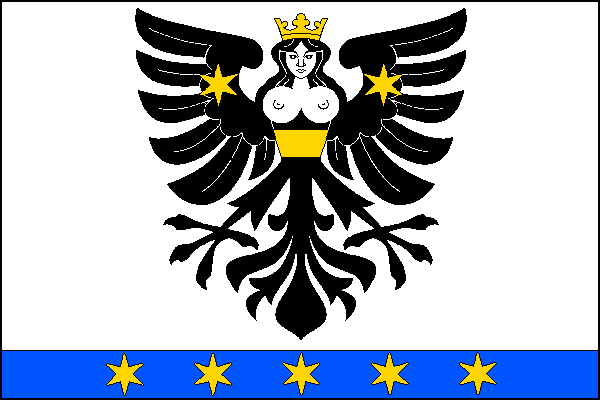 city flag