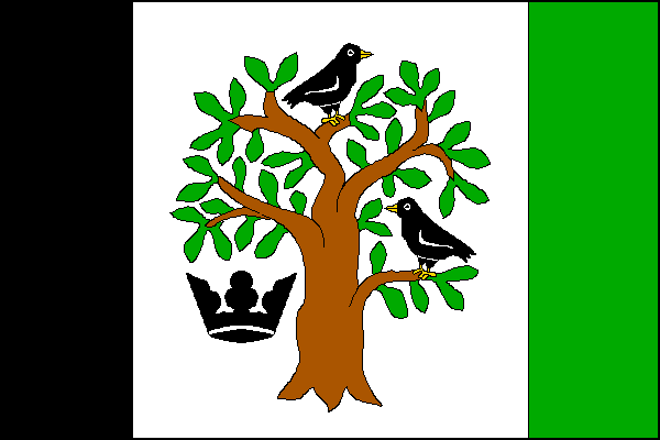 city flag