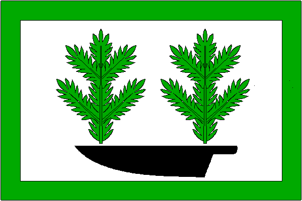 city flag