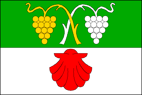 city flag