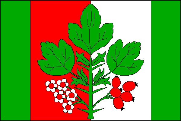 city flag
