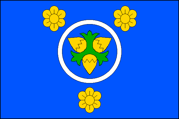 city flag