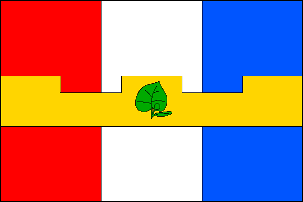 city flag