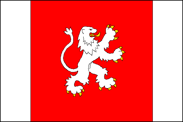 city flag