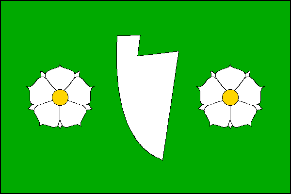 city flag