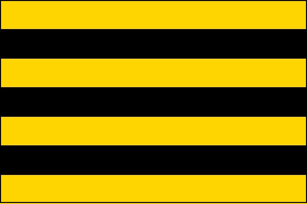 city flag