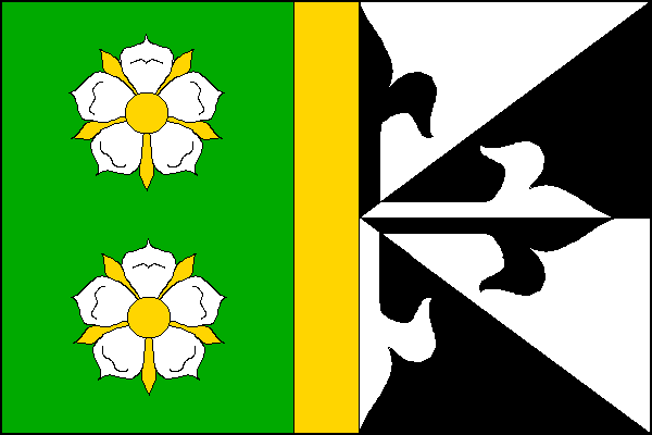 city flag