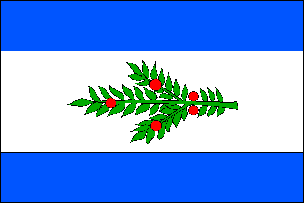 city flag