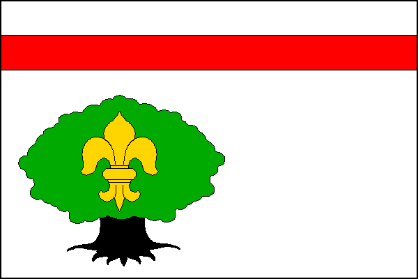 city flag