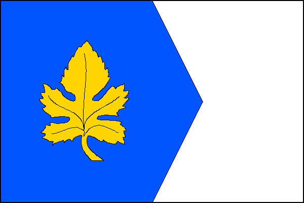 city flag