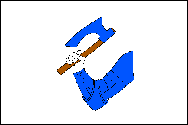 city flag