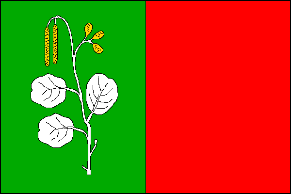 city flag