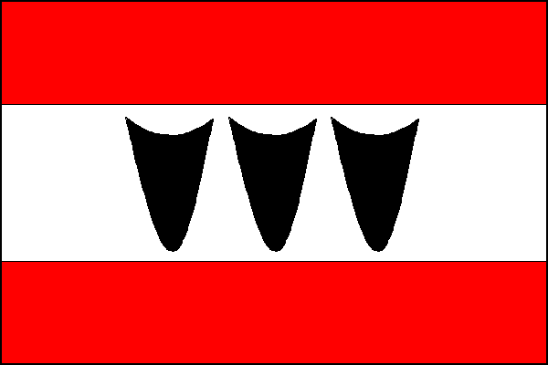 city flag