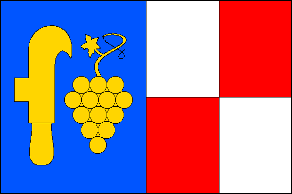 city flag