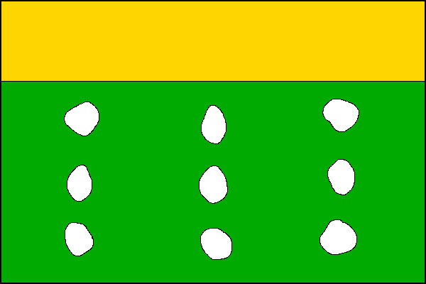 city flag