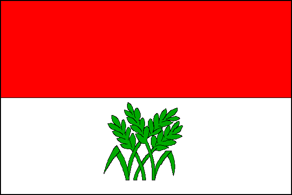 city flag