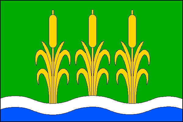 city flag