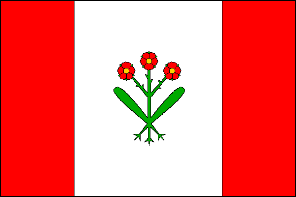 city flag