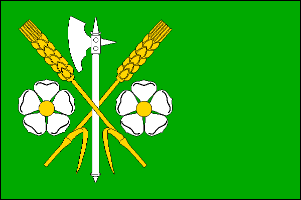 city flag