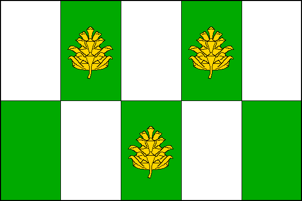 city flag