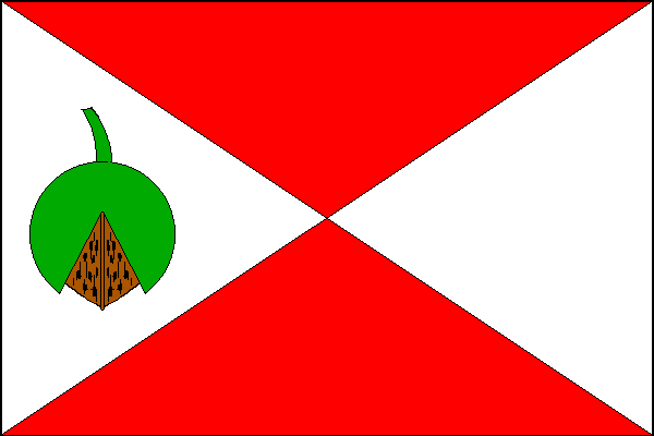 city flag