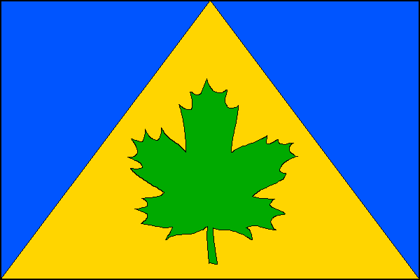 city flag