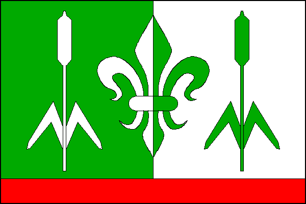 city flag