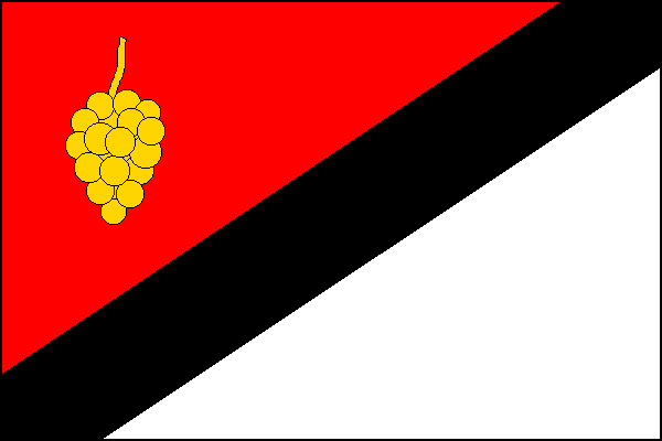 city flag