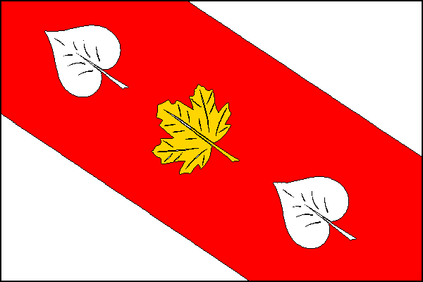 city flag