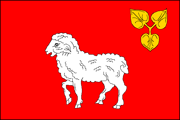 city flag