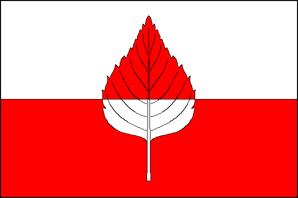 city flag