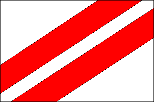 city flag