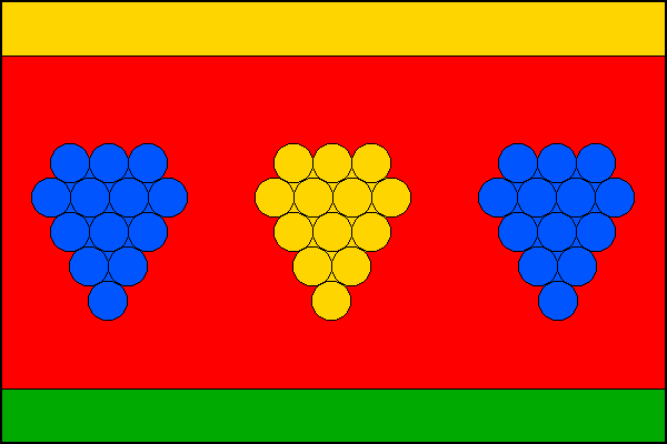 city flag