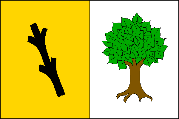 city flag