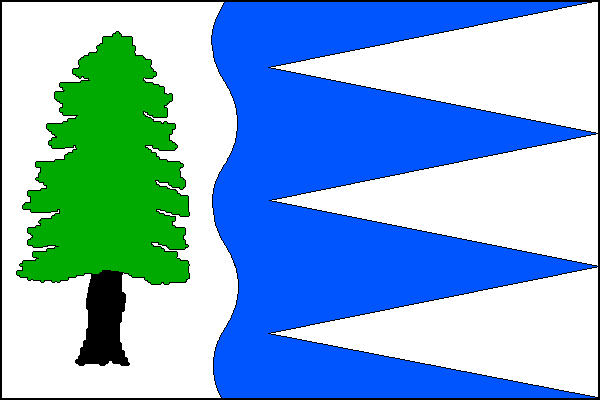 city flag