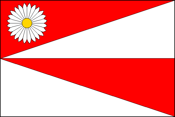 city flag