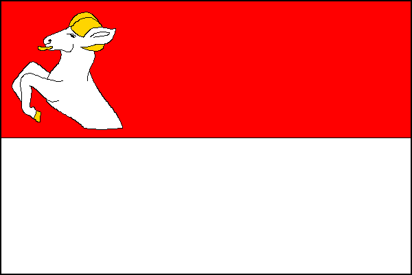 city flag