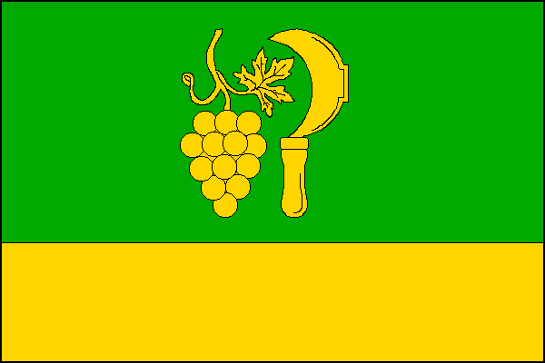 city flag