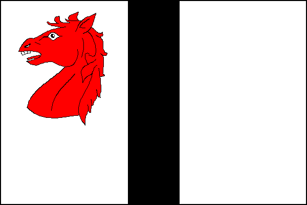 city flag