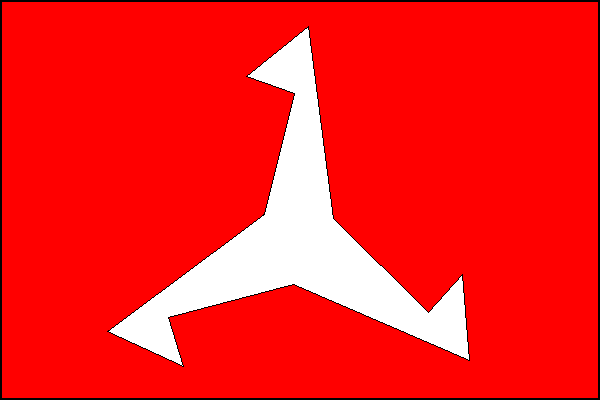 city flag