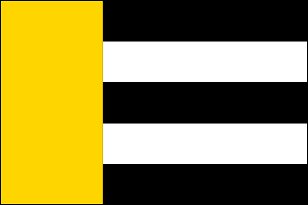 city flag