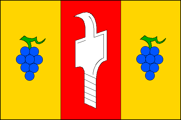 city flag