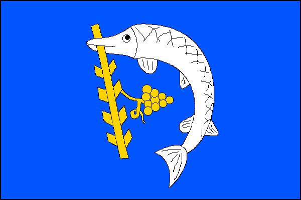 city flag